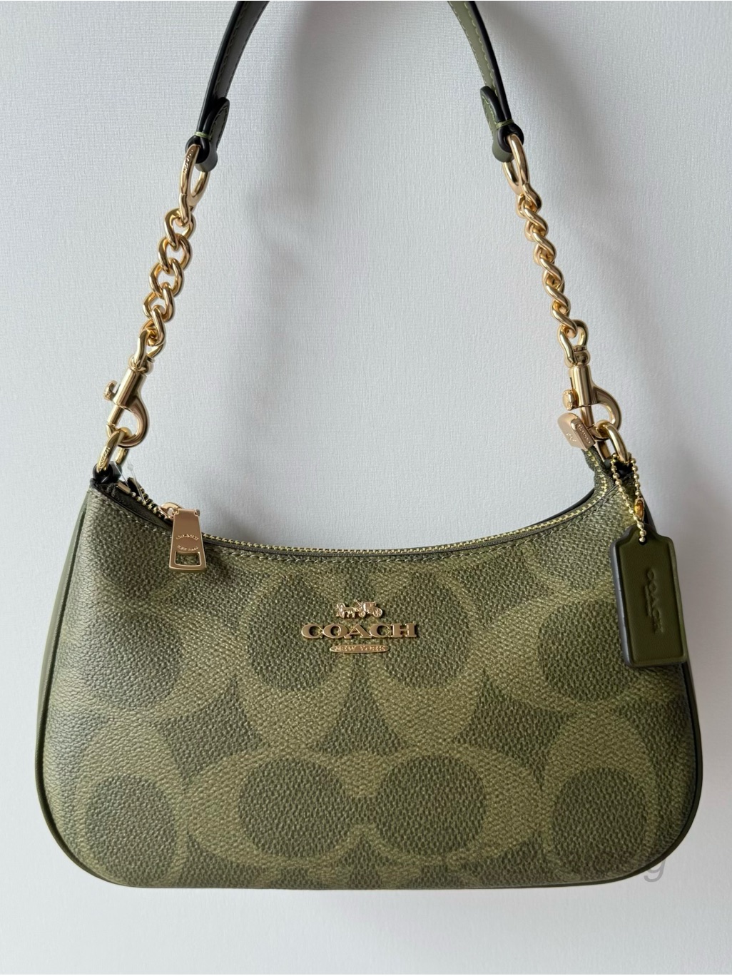 Nwt Coach Teri Shoulder/Crossbody Bag In Olive Green Signature Canvas
